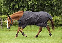 horseware-rug.jpg