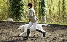 ESRM-Horse-and-Hound-Jumping-18-308.jpeg