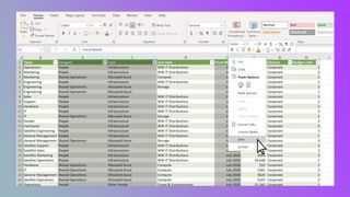 How to show or unhide rows or columns in Excel