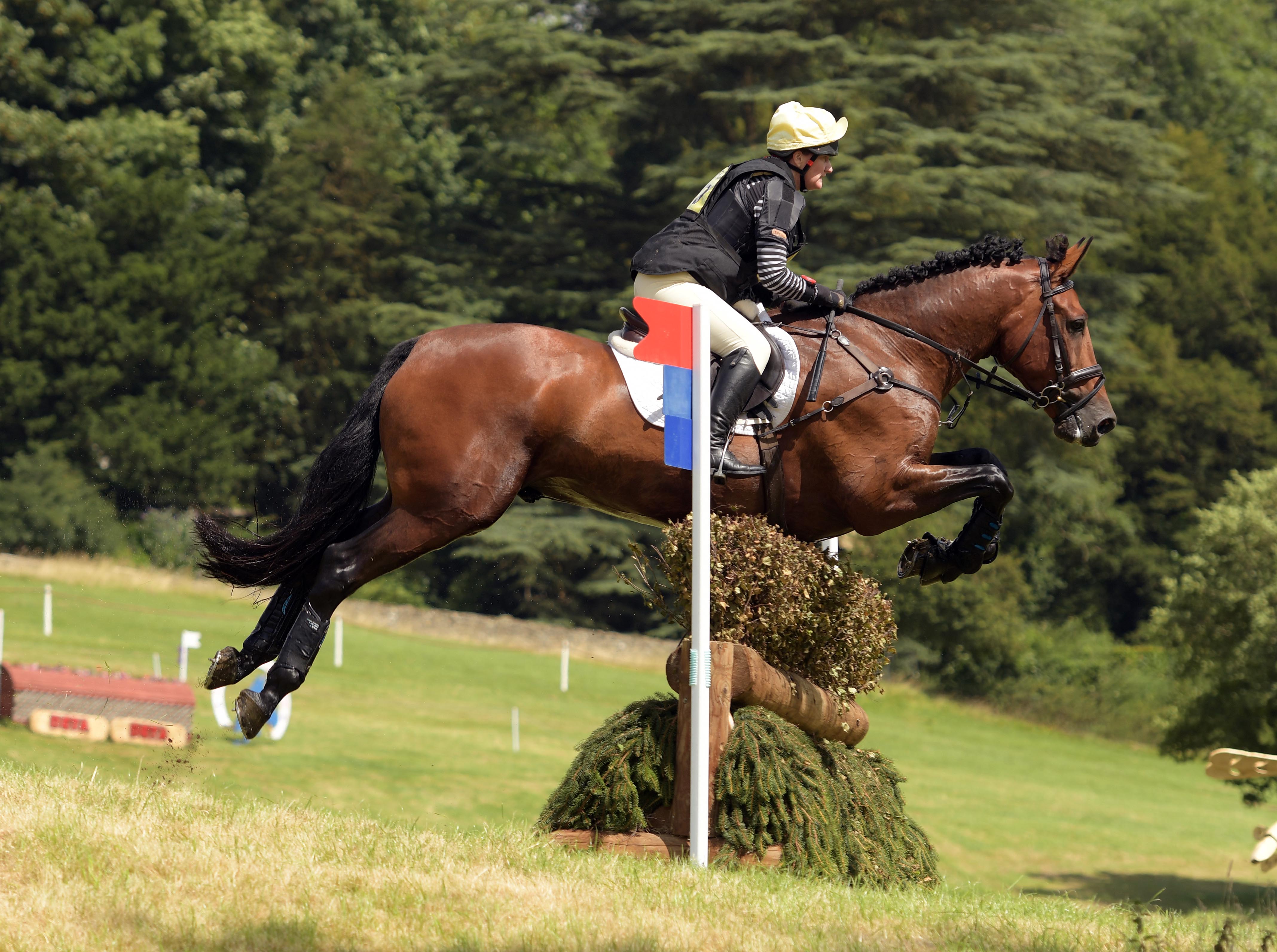 Image by focusonhorses.com