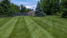A freshly mown green lawn with stripes
