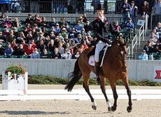 william-fox-pitt-parklane-hawk.jpg