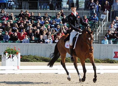 william-fox-pitt-parklane-hawk.jpg