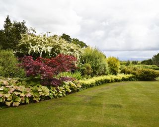 large lawn edged by deep garden borders