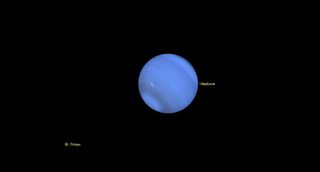 a hazy blue neptune in black space, with moon triton tiny in the lower left.