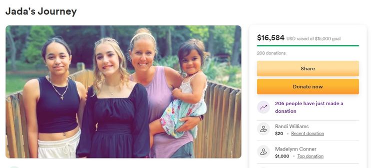 An image of one of the GoFundMe pages