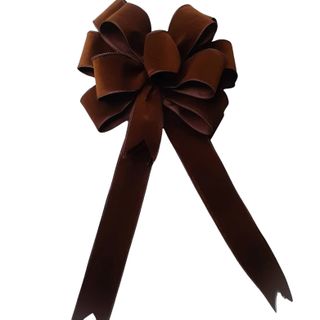 Brown Velvet Bow