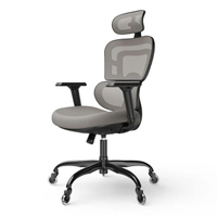 Lioncin Ergonomic Office Chair: $570Now $170 at WalmartSave $400