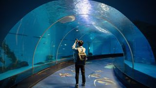 Person taking a picture under tunnel