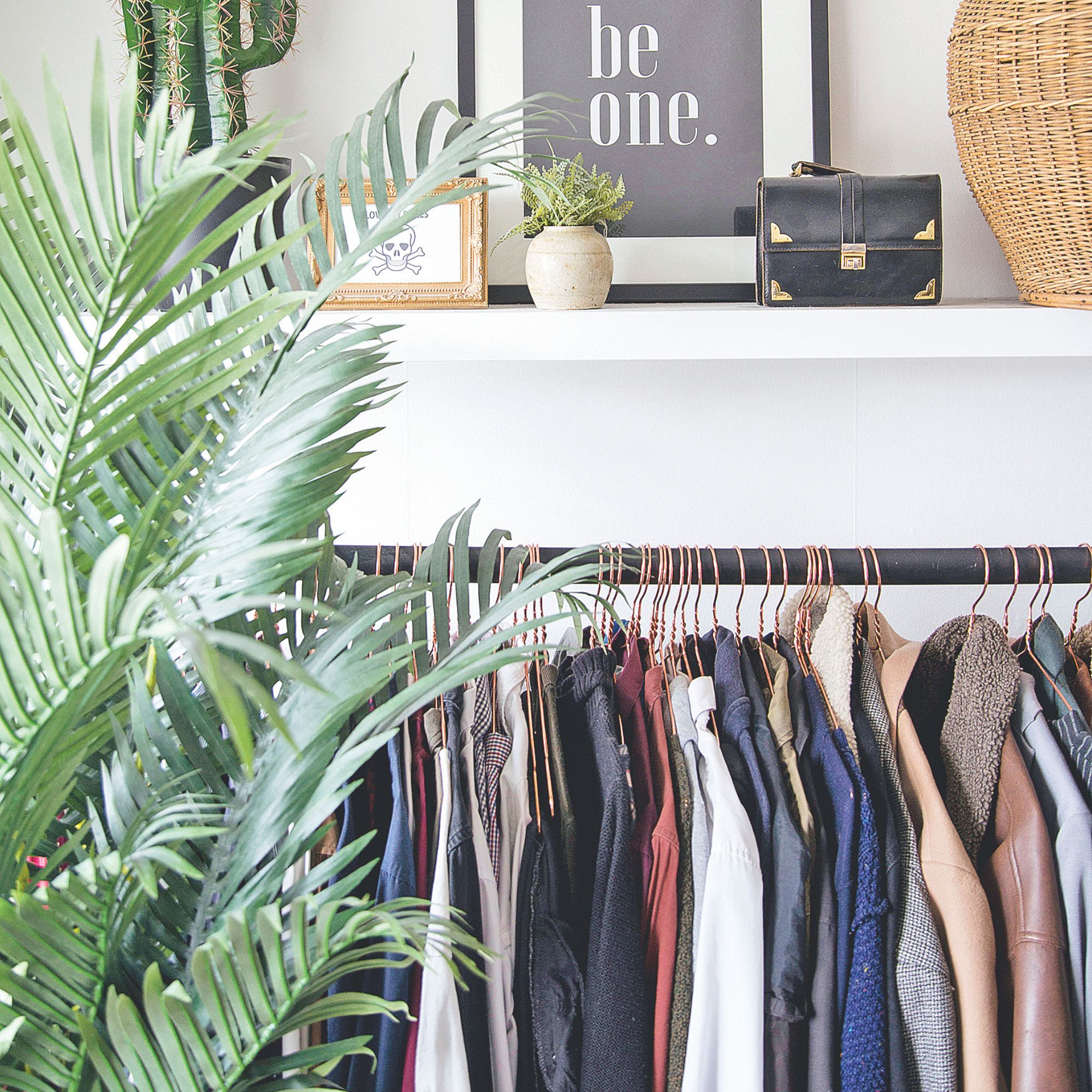 Hanging rail of clothes next to a plant, underneath a shelf with lots of knick knacks on it