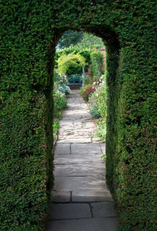 cottage garden path ideas: hedge