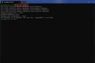 sudo apt update command