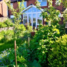 Lush green back garden with veg, flowers, grass and trees