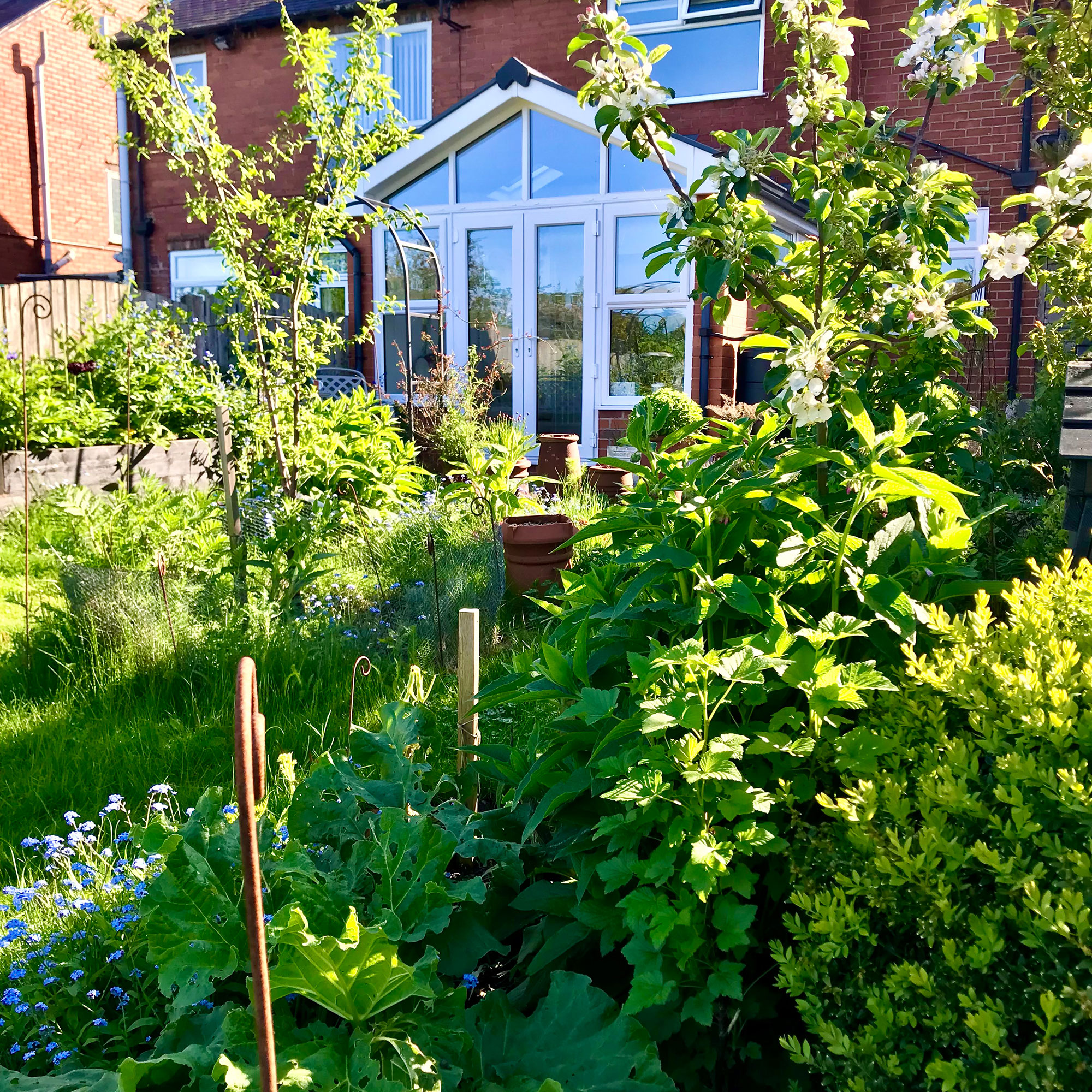 Lush green back garden with veg, flowers, grass and trees