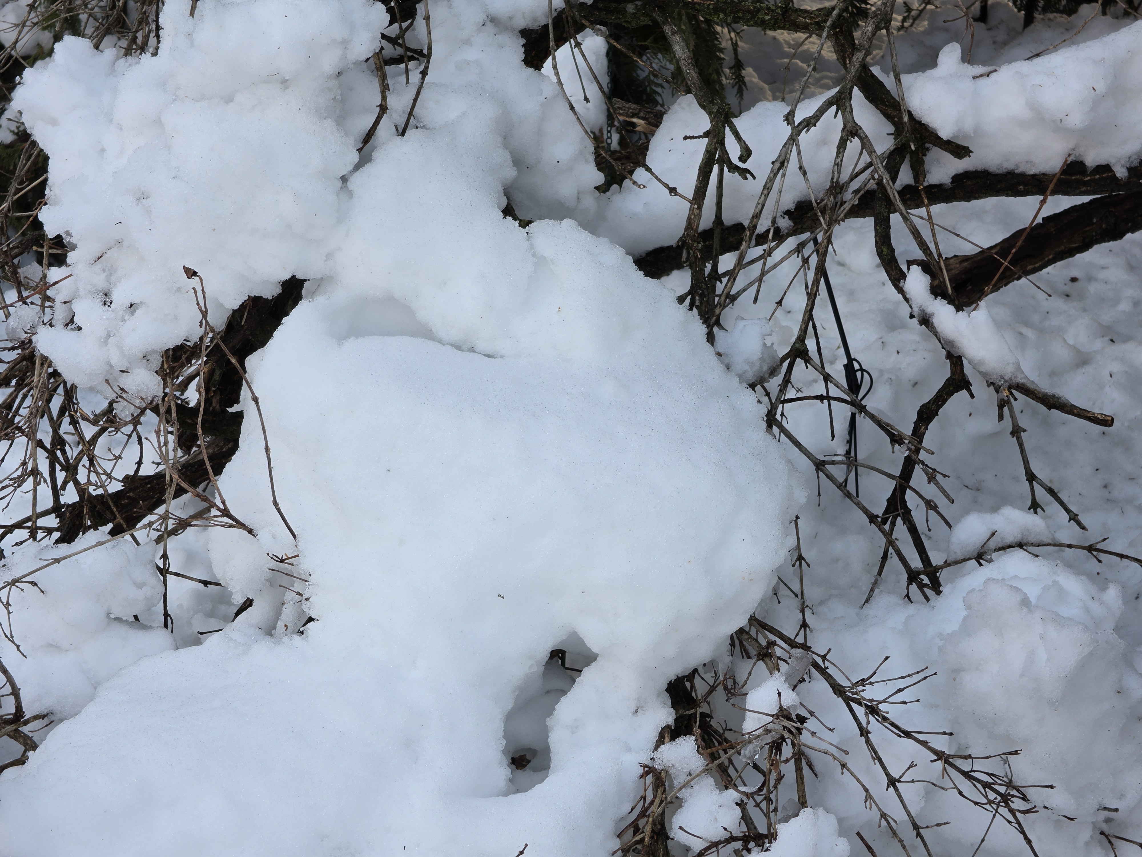 Samsung Galaxy S26 Ultra