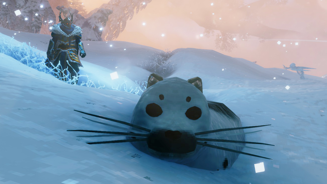 A seal