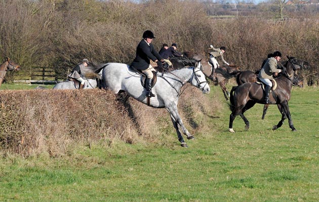 4-jumping-hedge-risks-blackthorn.jpg