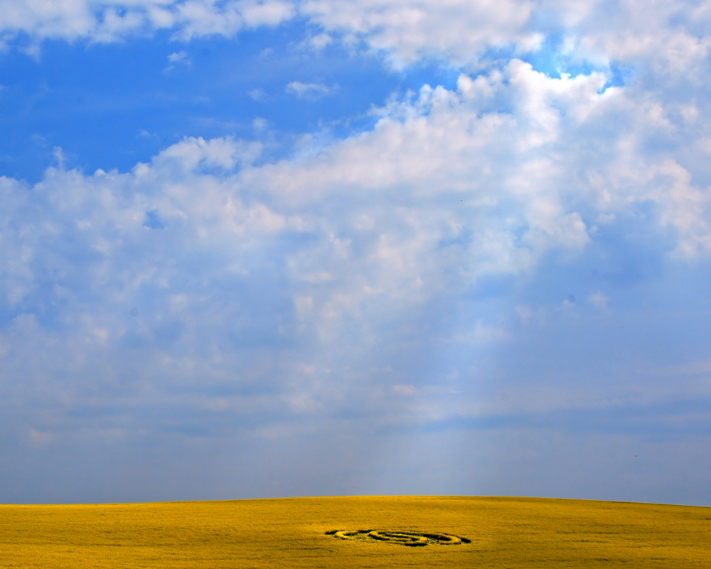 people in a crop circle