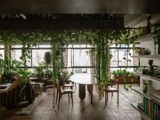 an apartment filled with plants hanging from the ceiling, natural materials and views to outdoors