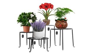 A set of four metal plant stands