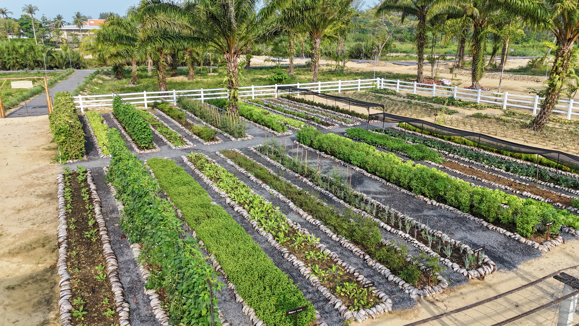 JW Garden on the resort grounds
