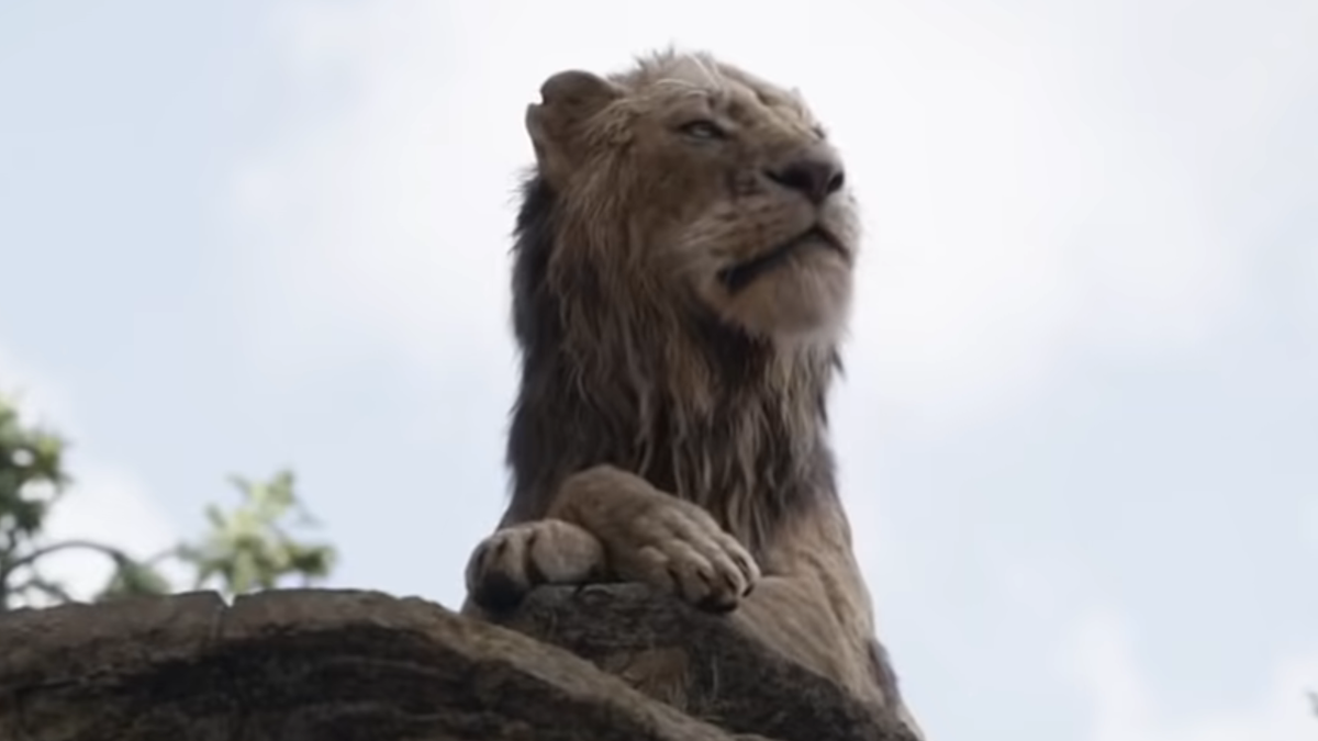 Mufasa: The Lion King: Release Date, Cast, And Other Things We Know ...