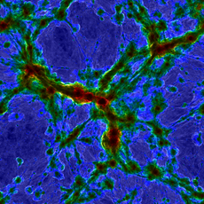 The centers of massive galaxy clusters are super hot (red), while bright structures show diffuse gas from the intergalactic medium shock heating at the boundary between cosmic voids and filaments.&nbsp;