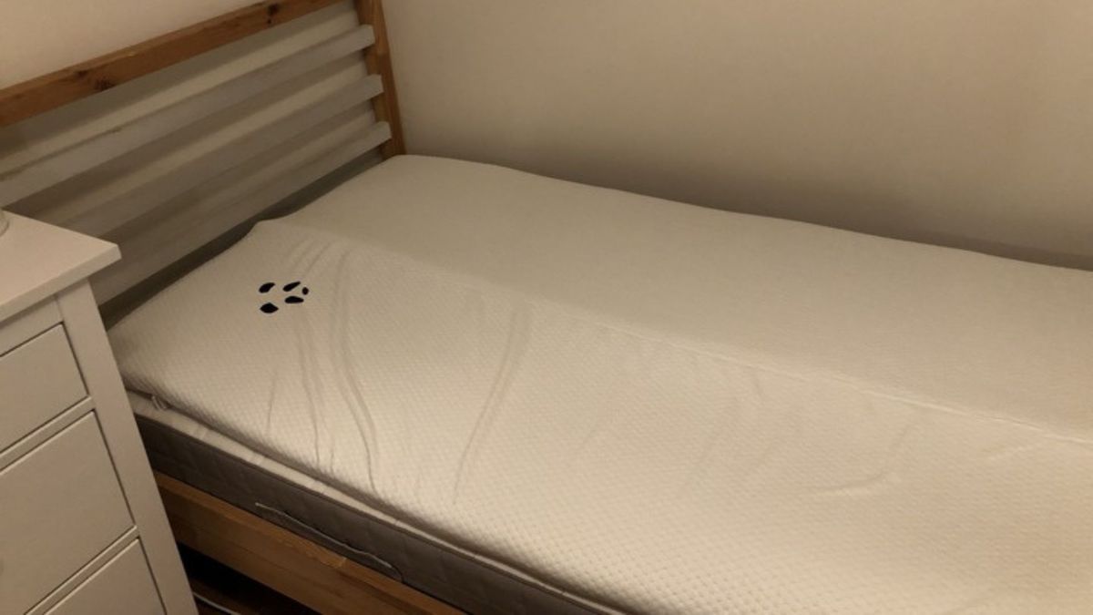 The Panda Bamboo 2" Memory Foam Mattress Topper after unboxing. It has an arch running down its middle as it has not fully expanded yet.