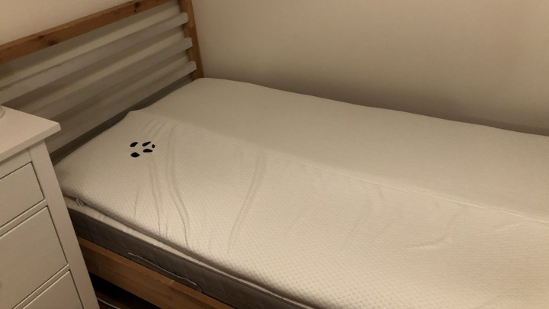 The Panda Bamboo 2" Memory Foam Mattress Topper after unboxing. It has an arch running down its middle as it has not fully expanded yet.