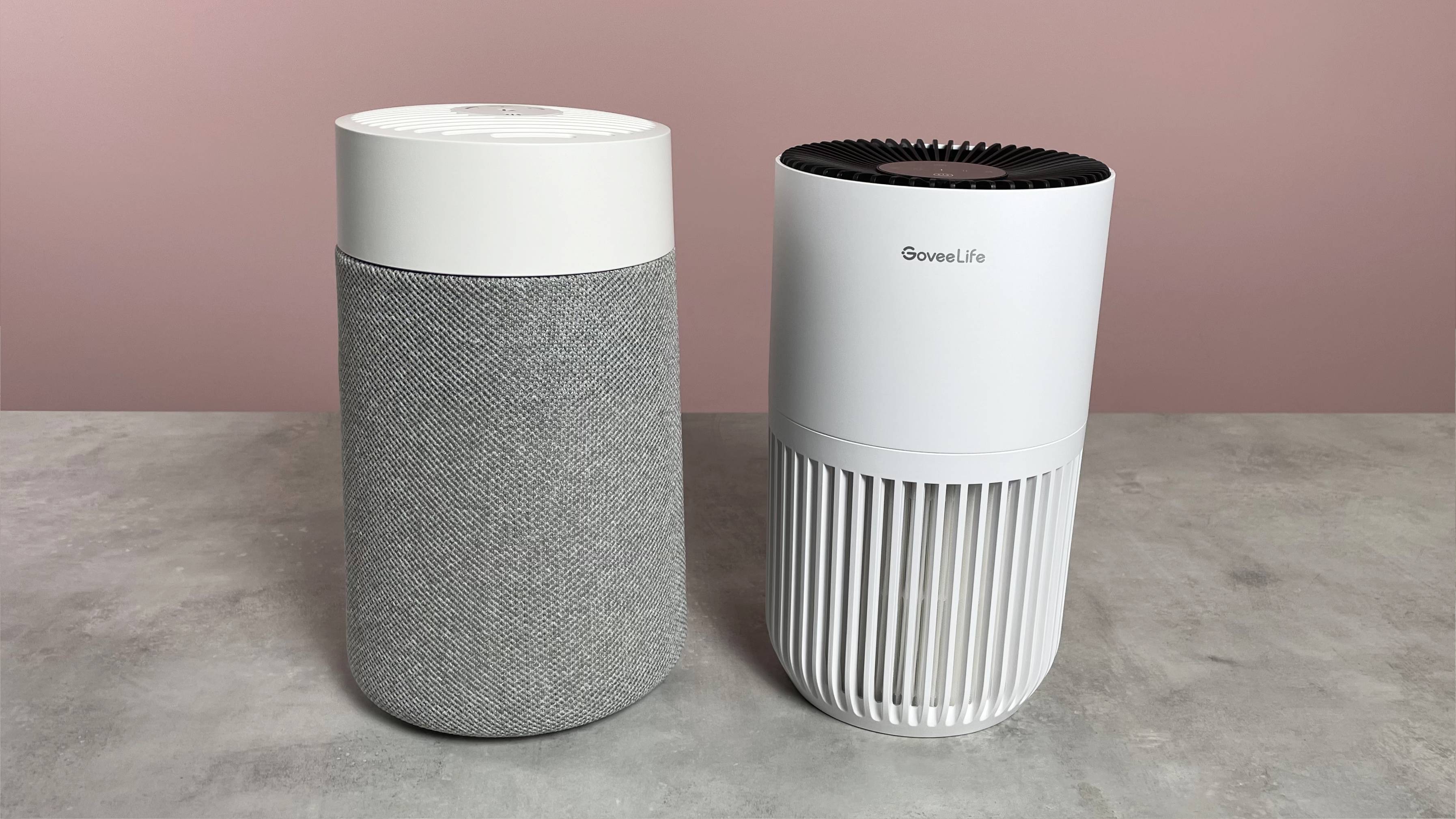 The Blueair Blue Pure Mini Max and GoveeLife Smart Air Purifier Lite stand side by side.