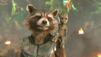   Rocket Racoon