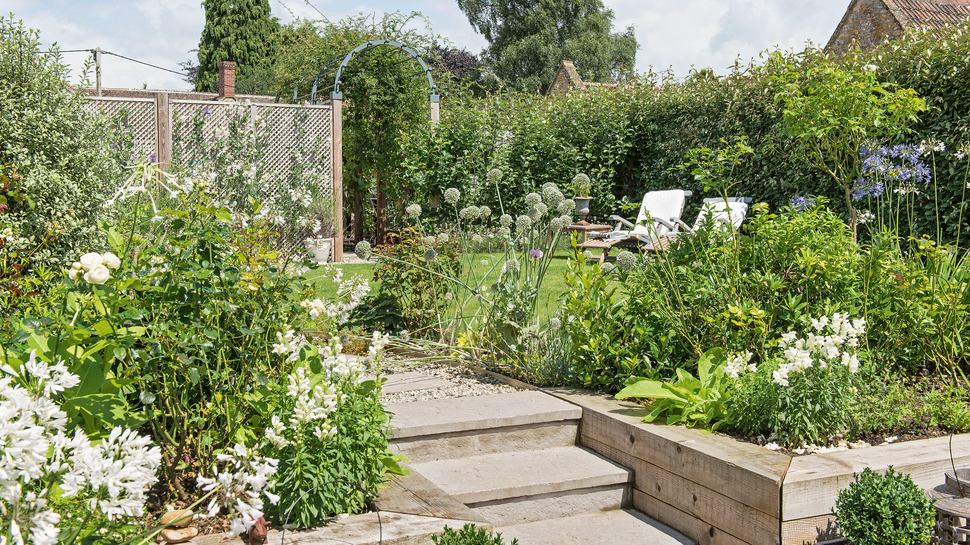 White alliums in garden with assorted foliage in back garden with brick wall