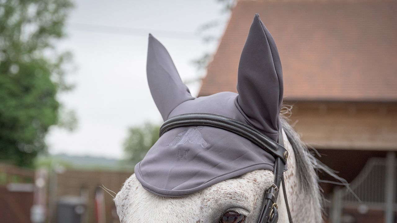 Fenwick Liquid&nbsp;Titanium ear bonnet review