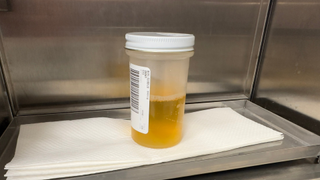 A clear container is half full with a yellow liquid. The container has a white lid and a barcode stuck on the side. It is resting on white tissue paper in a metal box.