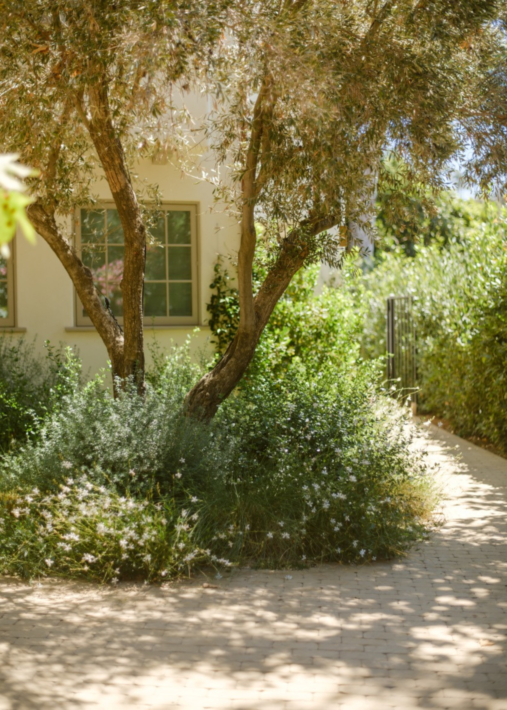 brick paved driveway with lots of wildflowers around the edge