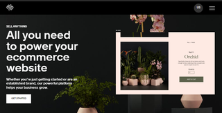 Screenshot of Squarespace website