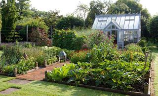 kitchen garden with greenhouse