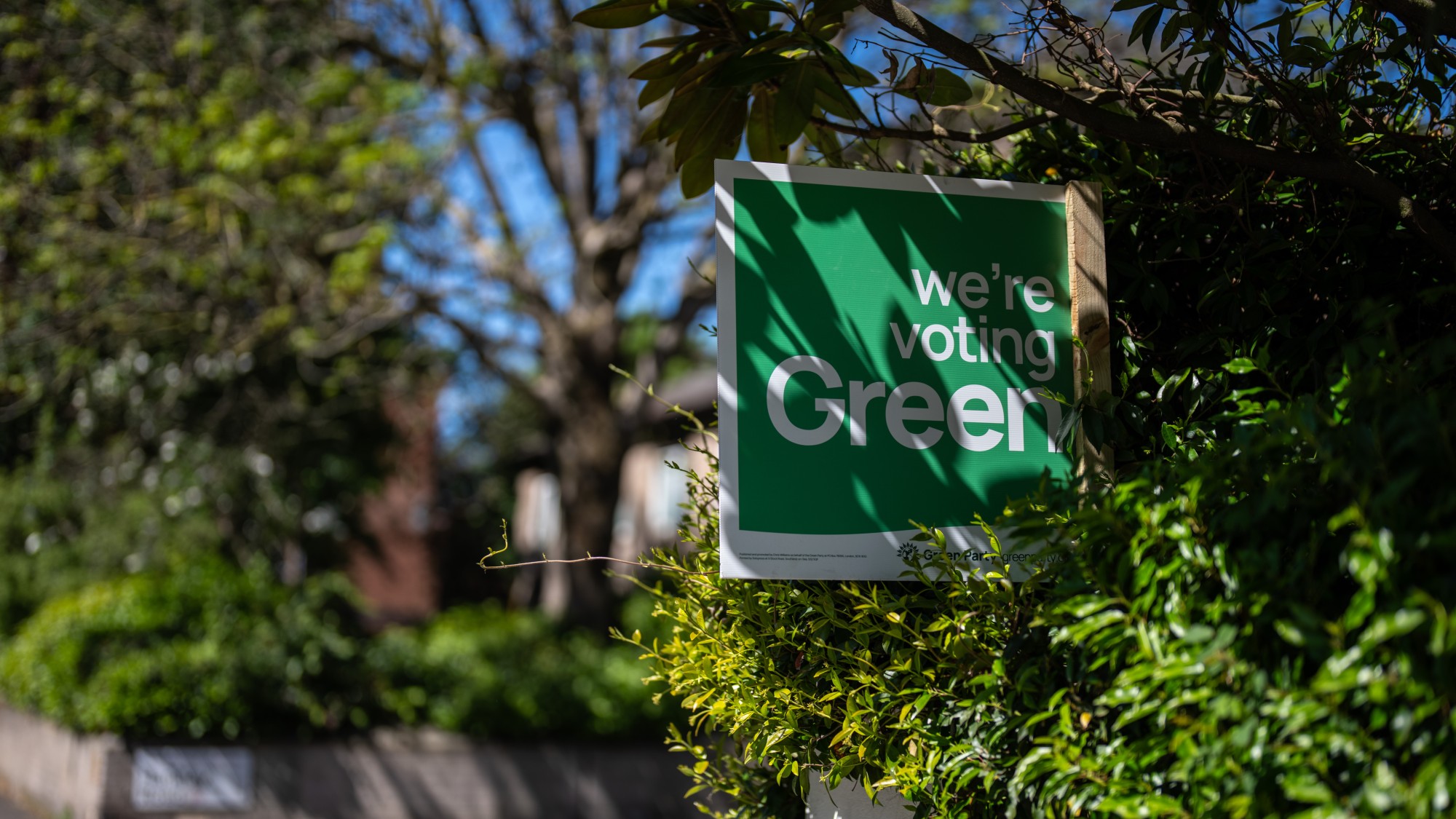 A placard reading "We're voting Green" nestled in a hedge