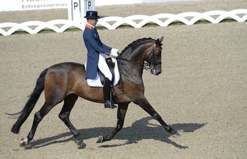 ecco FEI EUROPEAN CHAMPIONSHIPS 2013 DENMARK - Blue Hors DRESSAGE