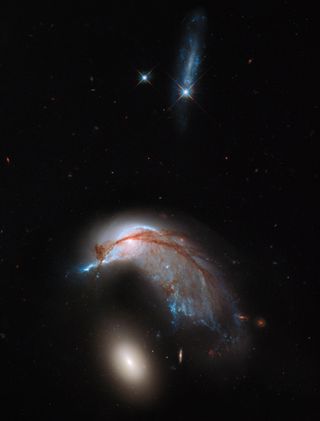 A telescope image of a swooping galaxy shaped somewhat like a bird against a black background of sky