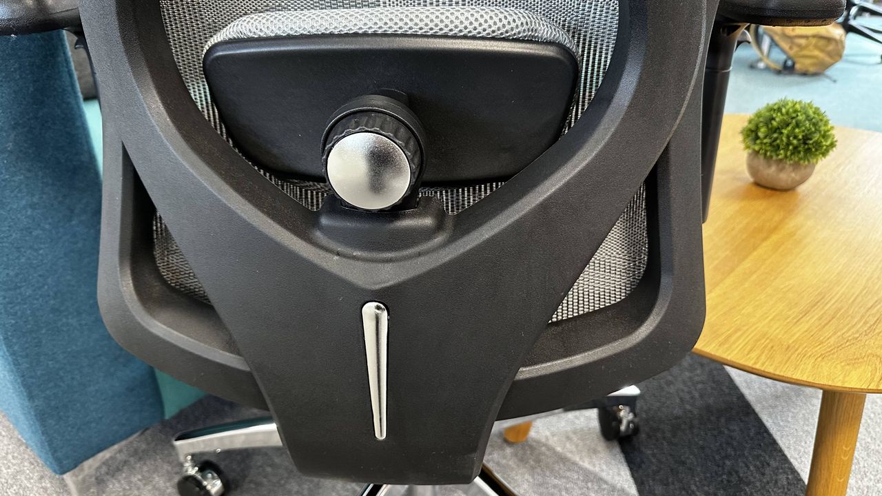 The lumbar support on the Sihoo M57