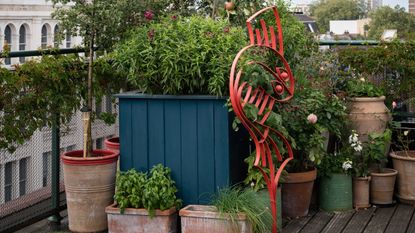 Container garden on city rooftop