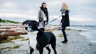Woman holding leash of dog while standing with friend on beach