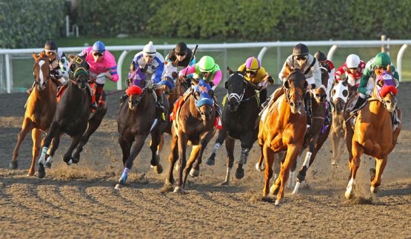 horses, kentucky derby, racing