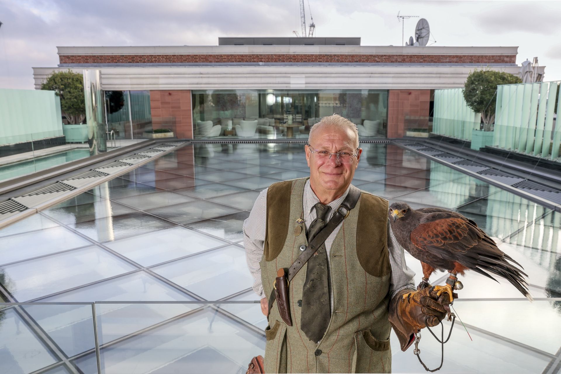 Phil Huzzey stands on the glass roof of Claridge's with a Harris Hawk called Hero on his arm. he looks pleased as punch, which you would be if you had a hawk on your arm