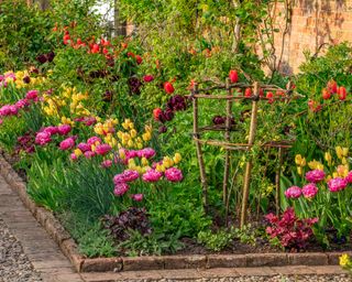 ways this garden wows with color