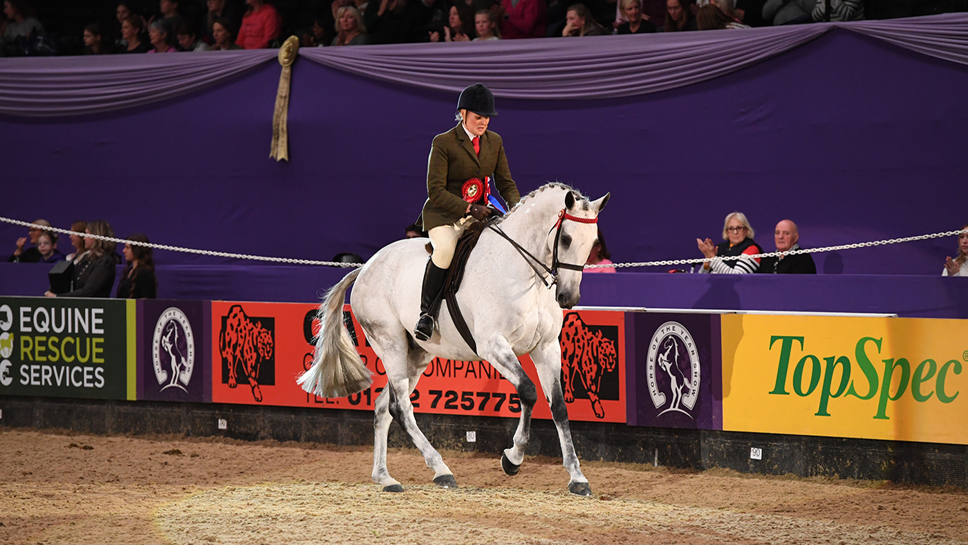 Grandstand Media has announced the 2023 HOYS qualifiers. Pictured a horse and rider competing at HOYS in 2022