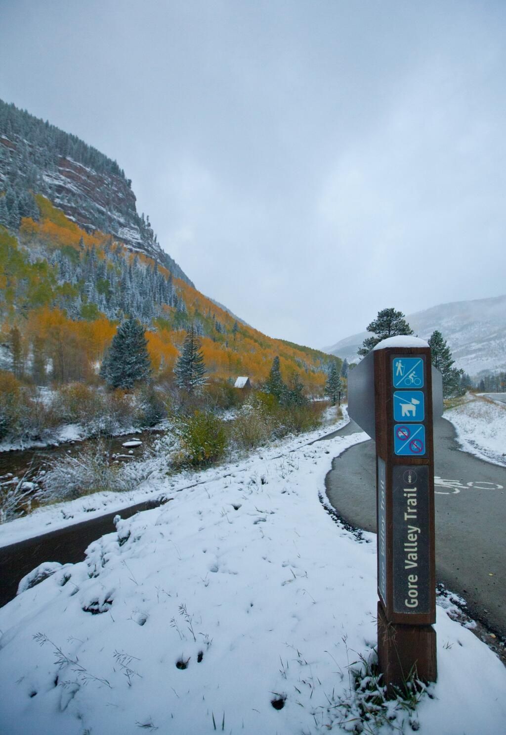 Vail snow and fall color