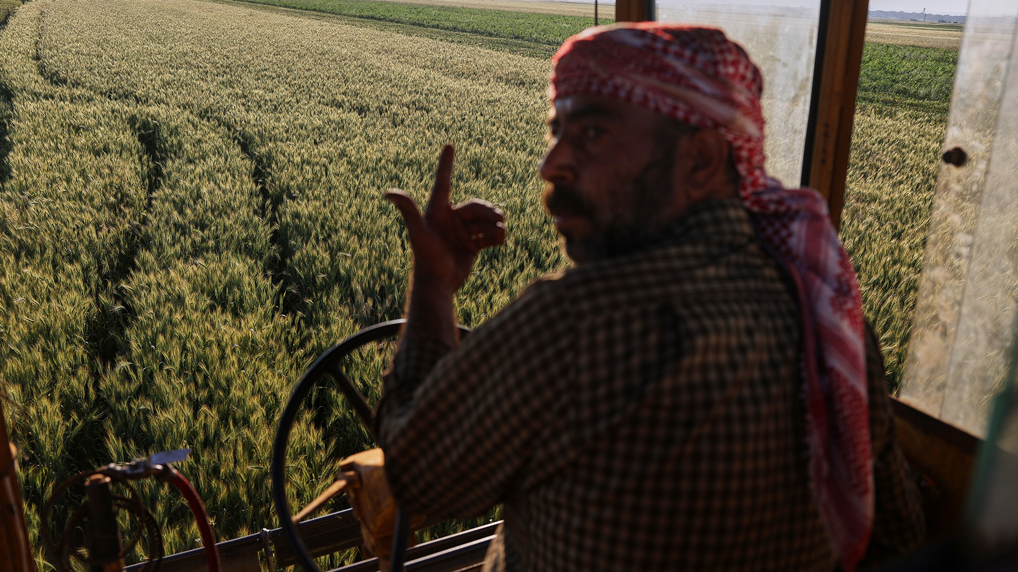 A farmer gestures while harvesting green wheat used to produce freekeh, a roasted grain widely used in Levantine cuisine, on the outskirts of Taftanaz, Syria