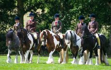 The Team Colosso Skewbald & Piebald Horse and Pony Classes on the first day of the show had cameras snapping